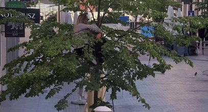 Nietypowa interwencja służb w Poznaniu. Kobieta postanowiła... posiedzieć na drzewie