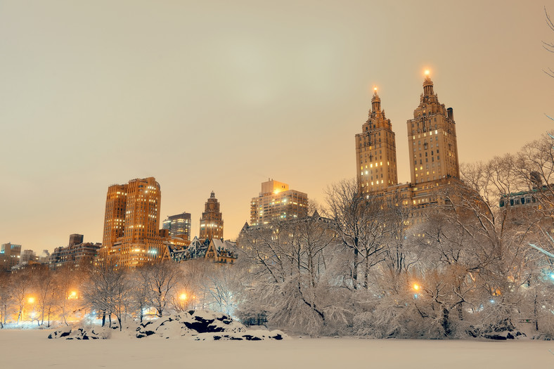 Zimowy Central Park, Nowy Jork