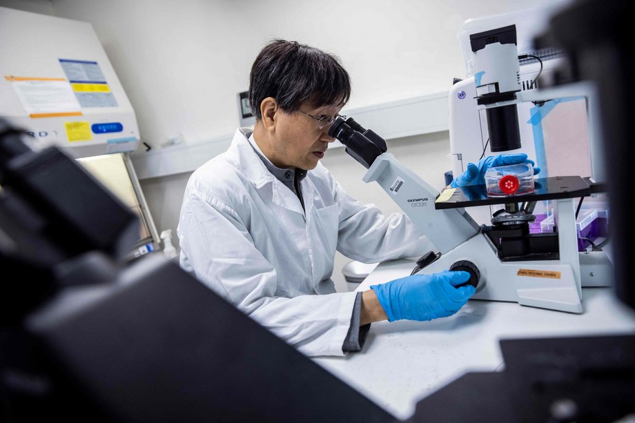 Scientist at work