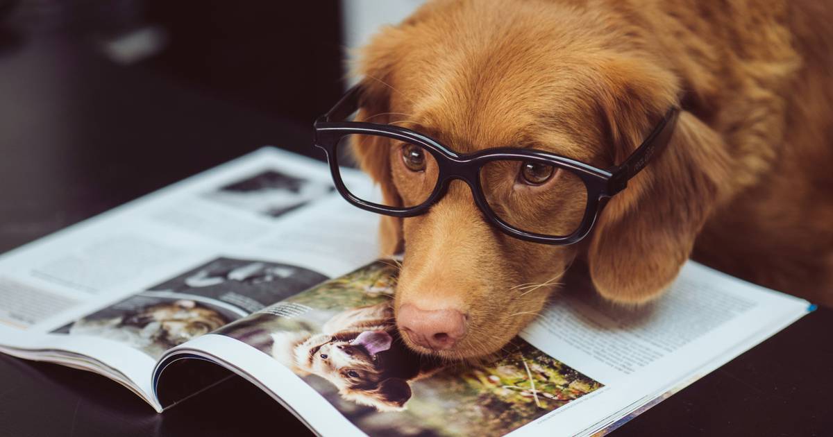 Prawda czy fałsz? Szybki quiz sprawdzi, czy nie masz braków