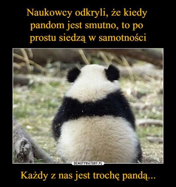 Najlepsze memy o pandach