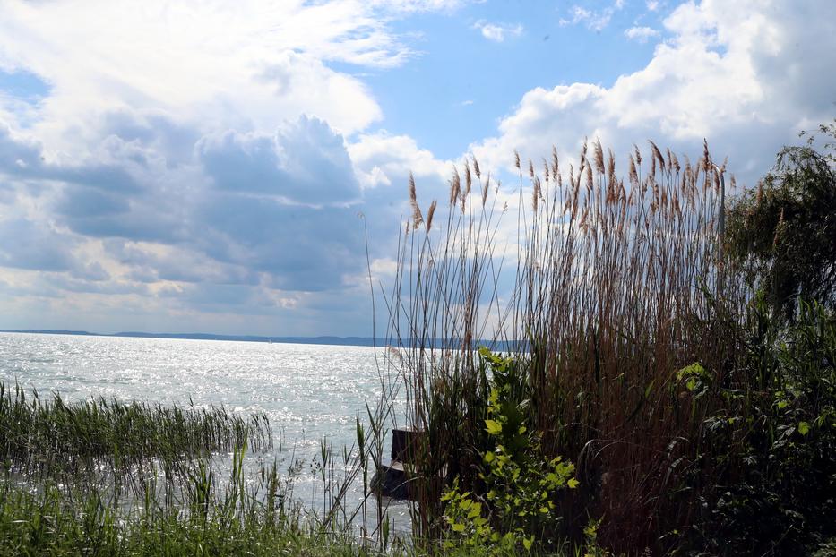 Még nyugodt a Balaton / Fotó: Pozsonyi Zita