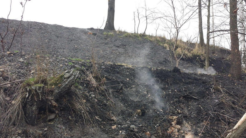 Czerwionka Leszczyny. Znika koksownia Dębieńsko