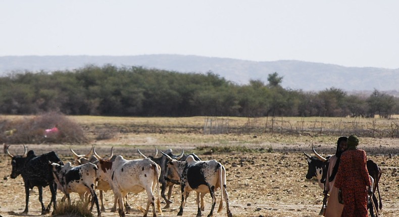 Canicule-sahel