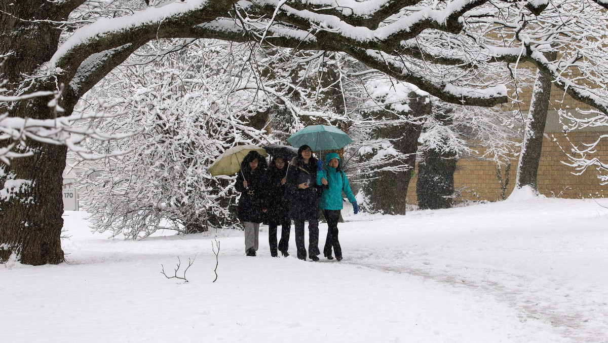 Czechy mają za sobą najmroźniejszą noc tego roku: w poniedziałek nad ranem w stacji meteorologicznej w Kvildzie w paśmie górskim Szumawa termometry wskazały minus 39,4 stopnia Celsjusza. W pozostałych częściach kraju mróz sięgał minus 20 stopni C. Także w Szwajcarii padł rekord najniższej temperatury.