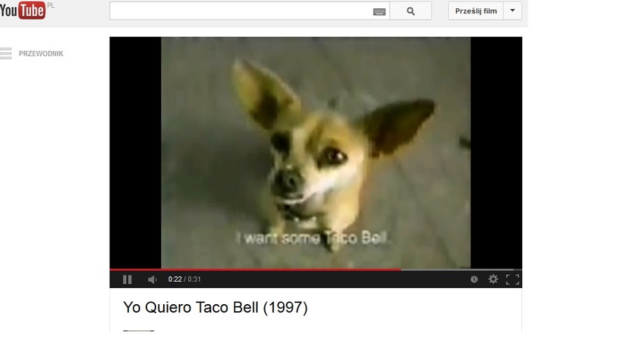 Największe reklamowe wpadki. Taco Bell - mówiący pies Chihuahua