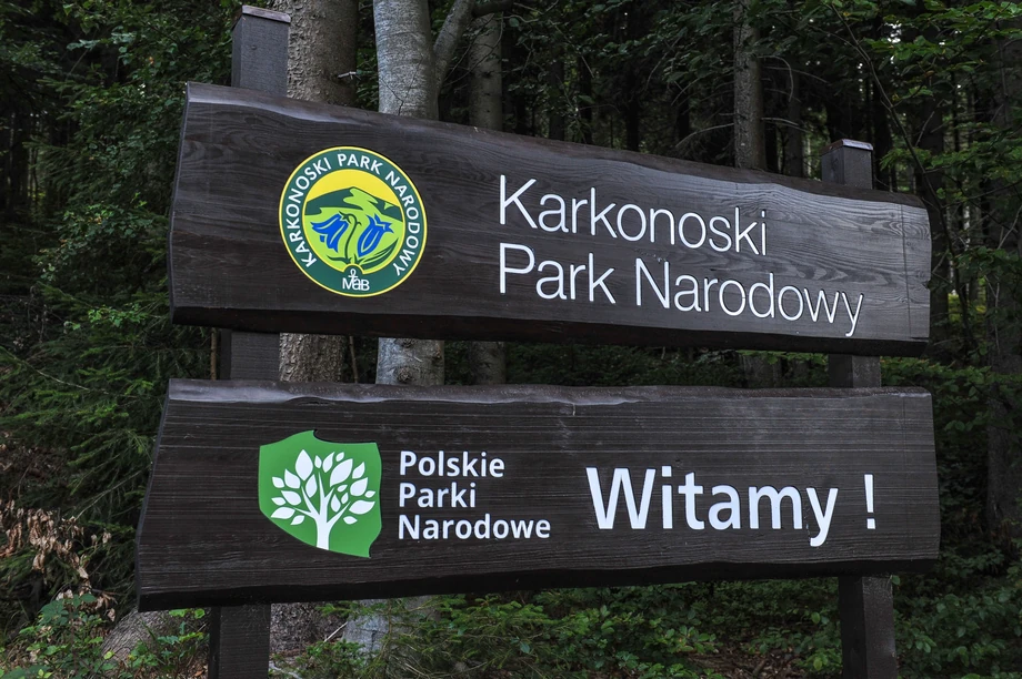 Jest nadzieja dla parków narodowych. Jest już projekt ustawy, który ma ułatwić ich powstawanie 