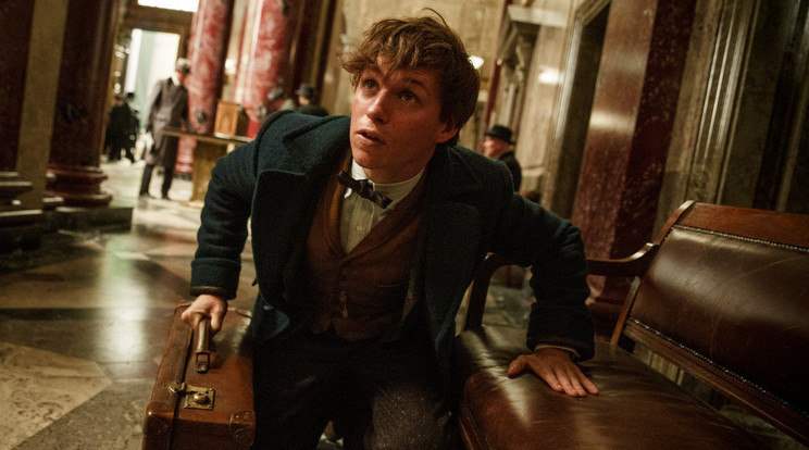 Eddie Redmayne Newt Scamander szerepében