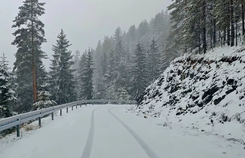 Sneg, planinski centar Iver, Mokra gora