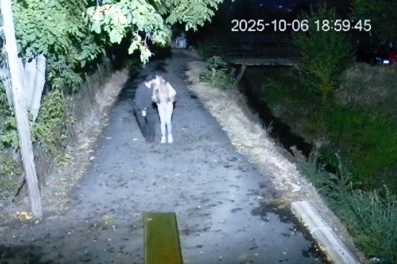 DANE (70) NA SOFIJU JANJIĆIJEVIĆ POTROŠIO 30.000 EVRA Isplivali šok detalji! Ona priznala: "Sve poruke su u mom telefonu"