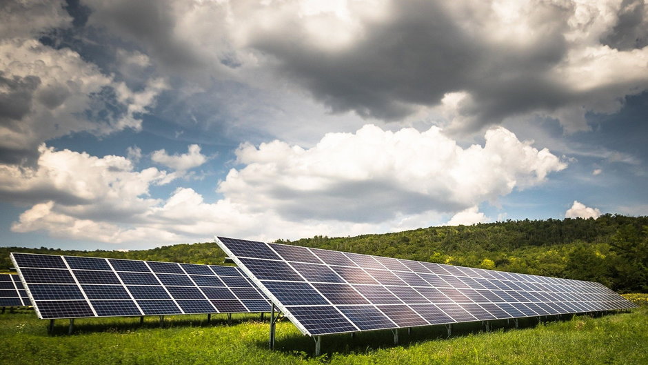 W Radomsku powstała Młodzieżowa Akademia Liderów Klimatu