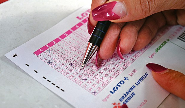 Loto