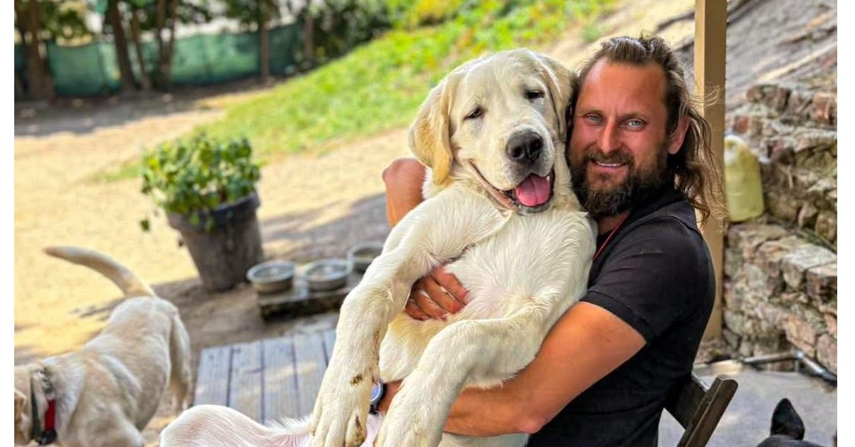 Cudem odnalazł się pies Polaka zaginionego we Włoszech. Ogromny apel do Ambasady RP o wsparcie poszukiwań na większą skalę