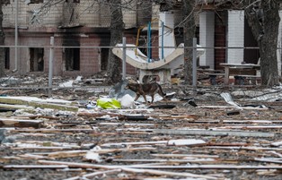 Rosyjskie lotnictwo zaatakowało szkoły i prywatne domy w Czernihowie. Zginęło 9 osób