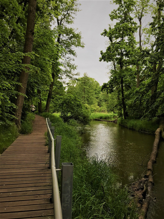 Park Uzdrowiskowy Doliny Symsarny