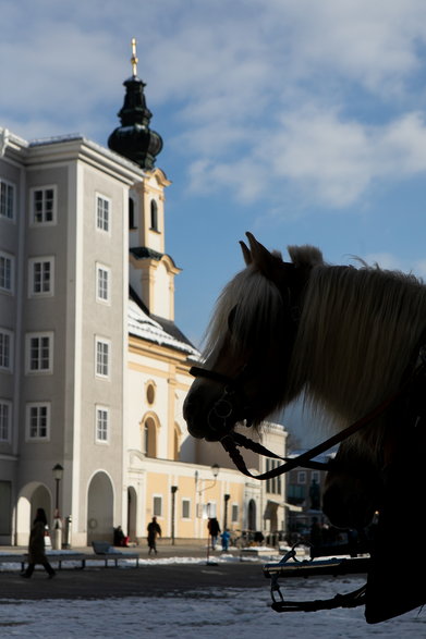 Na placu przy Rezydencji dorożkarze i ich konie czekają na pasażerów