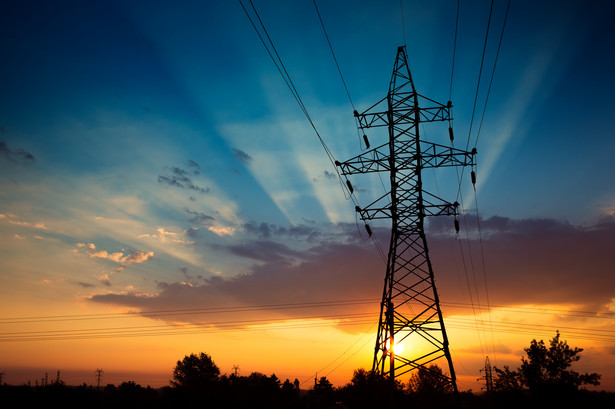 Polskie Sieci Elektroenergetyczne (PSE) są operatorem elektroenergetycznego systemu przesyłowego w Polsce.