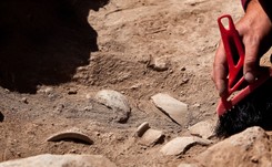 To szczątki starsze od dinozaurów. Sensacyjne znalezisko na plaży