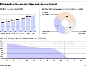 Zielona energetyka: biomasa nad przepaścią