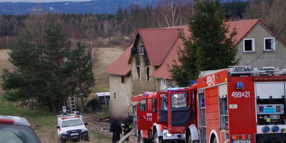 Pożar w Gajówce pod Lwówkiem Śląskim 