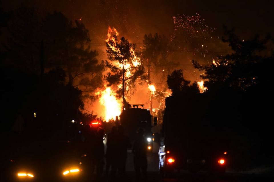 Od tygodnia tureccy ratownicy walczą z pożarami lasów i osiedli