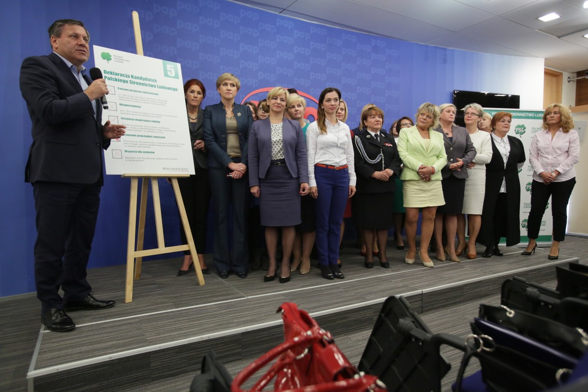 Kampania wyborcza PSL 