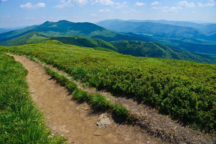 Bieszczady to jeden z najbardziej dzikich i tajemniczych zakątków Polski