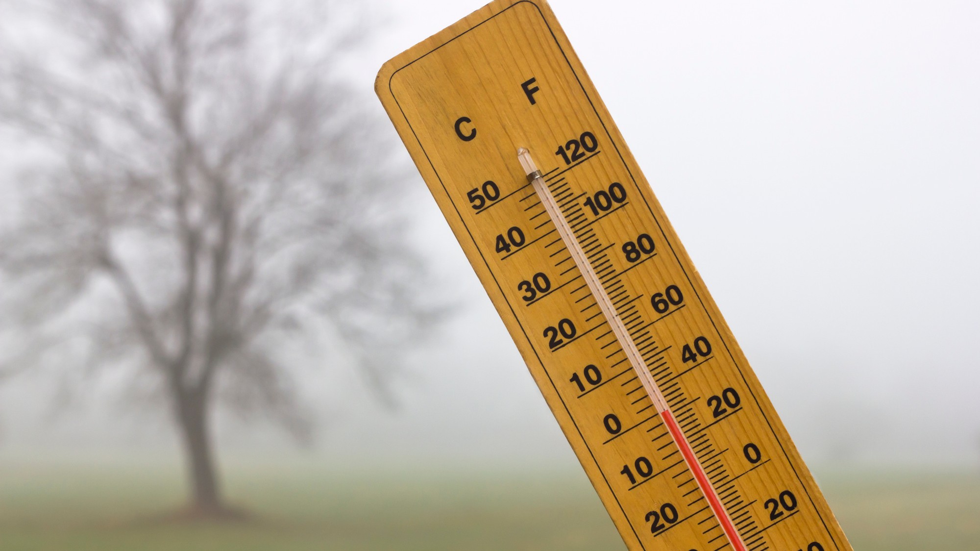 Teplota sa dnes vyšplhá maximálne na 18 °C. (ilustračné foto).