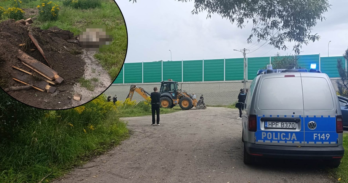 Łódź w szoku: Owczarek z przyciętymi uszami zakopany z budą – potworny akt okrucieństwa