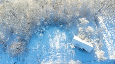 zakaz wstępu do lasów w północnej polsce. zagrożenie dla zdrowia i życ
