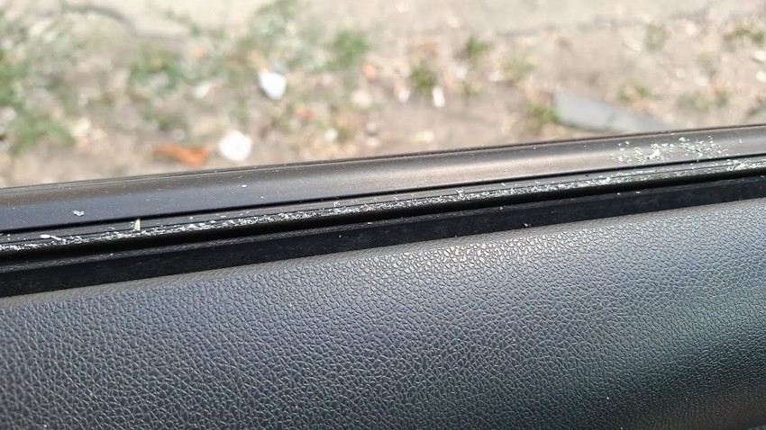 Pepeo iz Deliblatske peščare na automobilima u Vršcu 