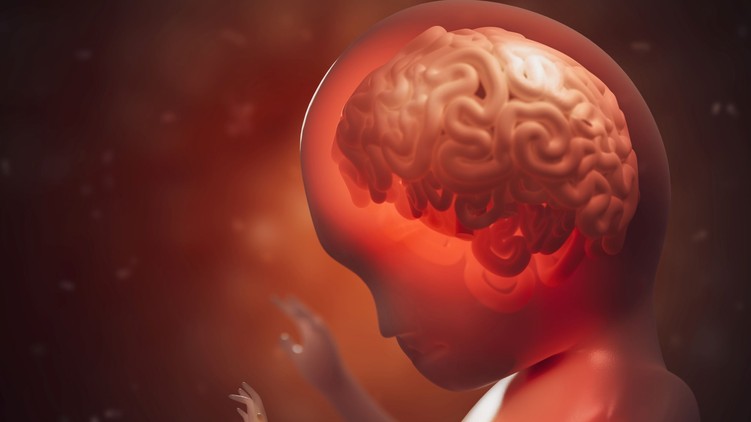 agy egy része hiányzik hidranencefália