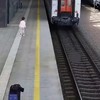 voz