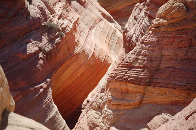 Galeria USA - Coyote Buttes - skamieniałe wydmy, obrazek 19