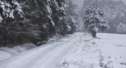 Zamiecie, śnieg, mróz, silny wiatr. Prognoza od IMGW dla wszystkich regionów