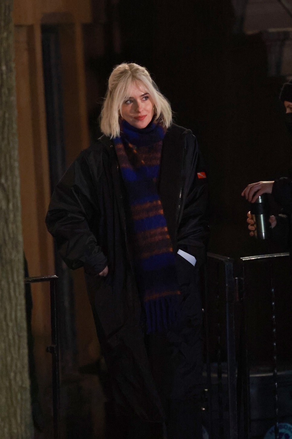 dakota johnson