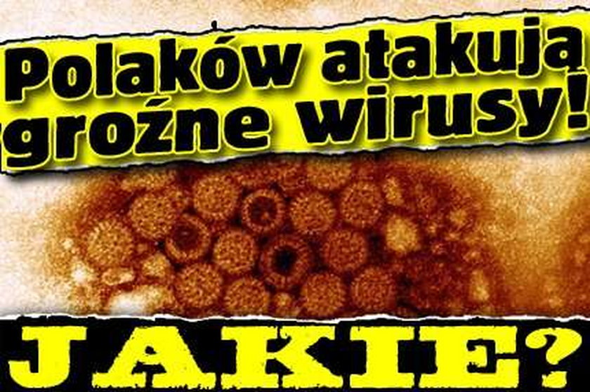 Polaków atakują groźne wirusy. Jakie?