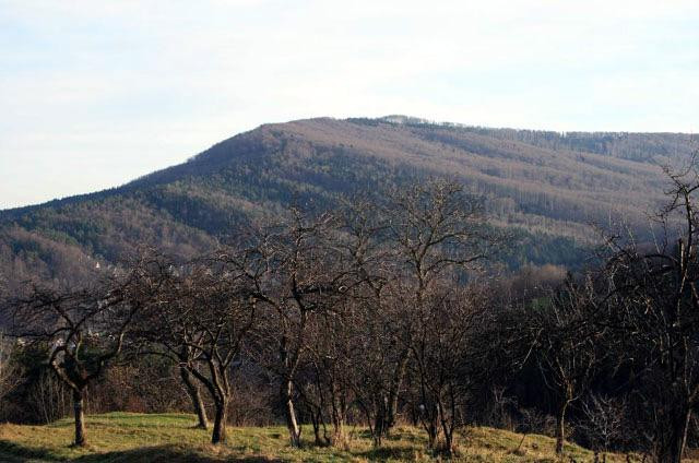 Galeria Polska - Beskid Makowski, obrazek 8