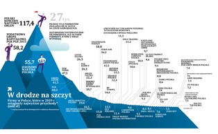 Podatkowe lustro gospodarki. Oto lista największych płatników CIT
