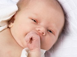 Chcesz zajść w ciążę? Poczekaj do grudnia