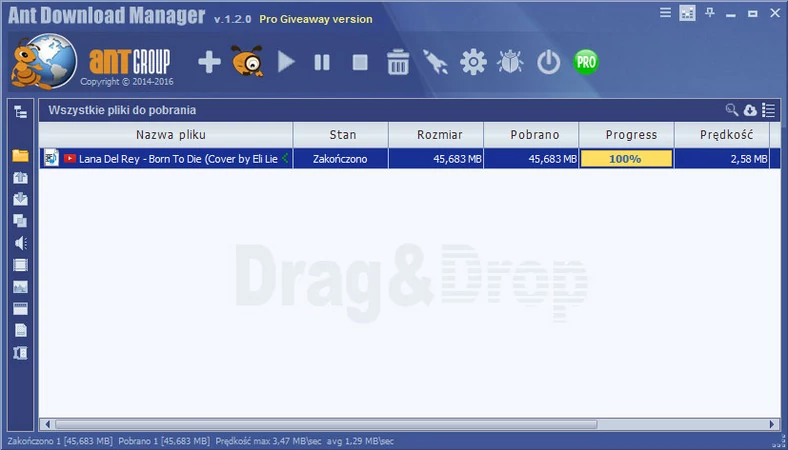 Główne okno programu do pobierania filmów z internetu - Ant Download Manager Pro
