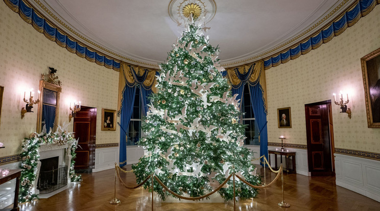 Fehér Ház karácsonyi díszei/Fotó: Northfoto