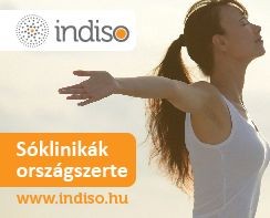 indiso-d00001C9Aefe242629c3f