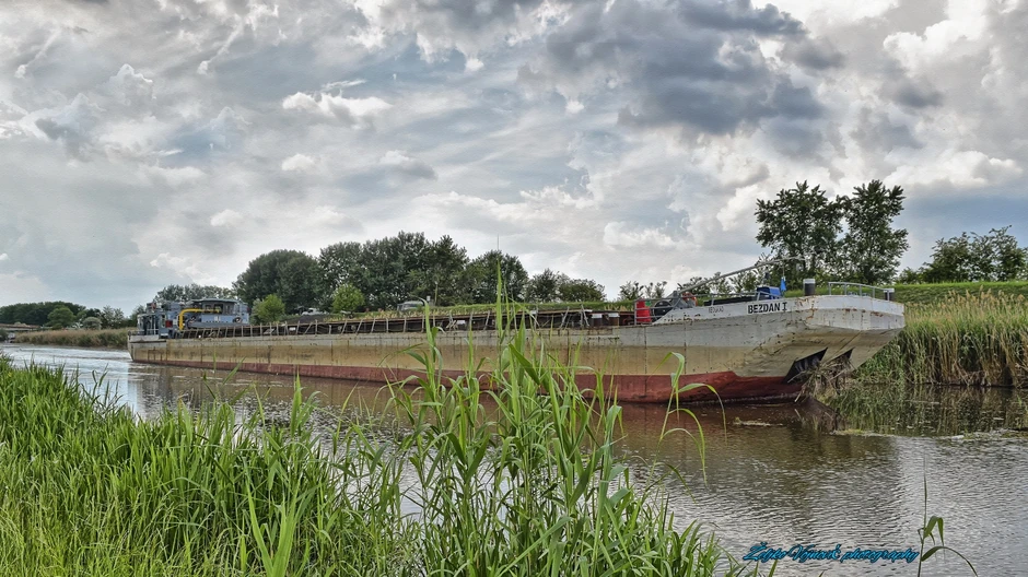 Željko Vojnović fotografije
