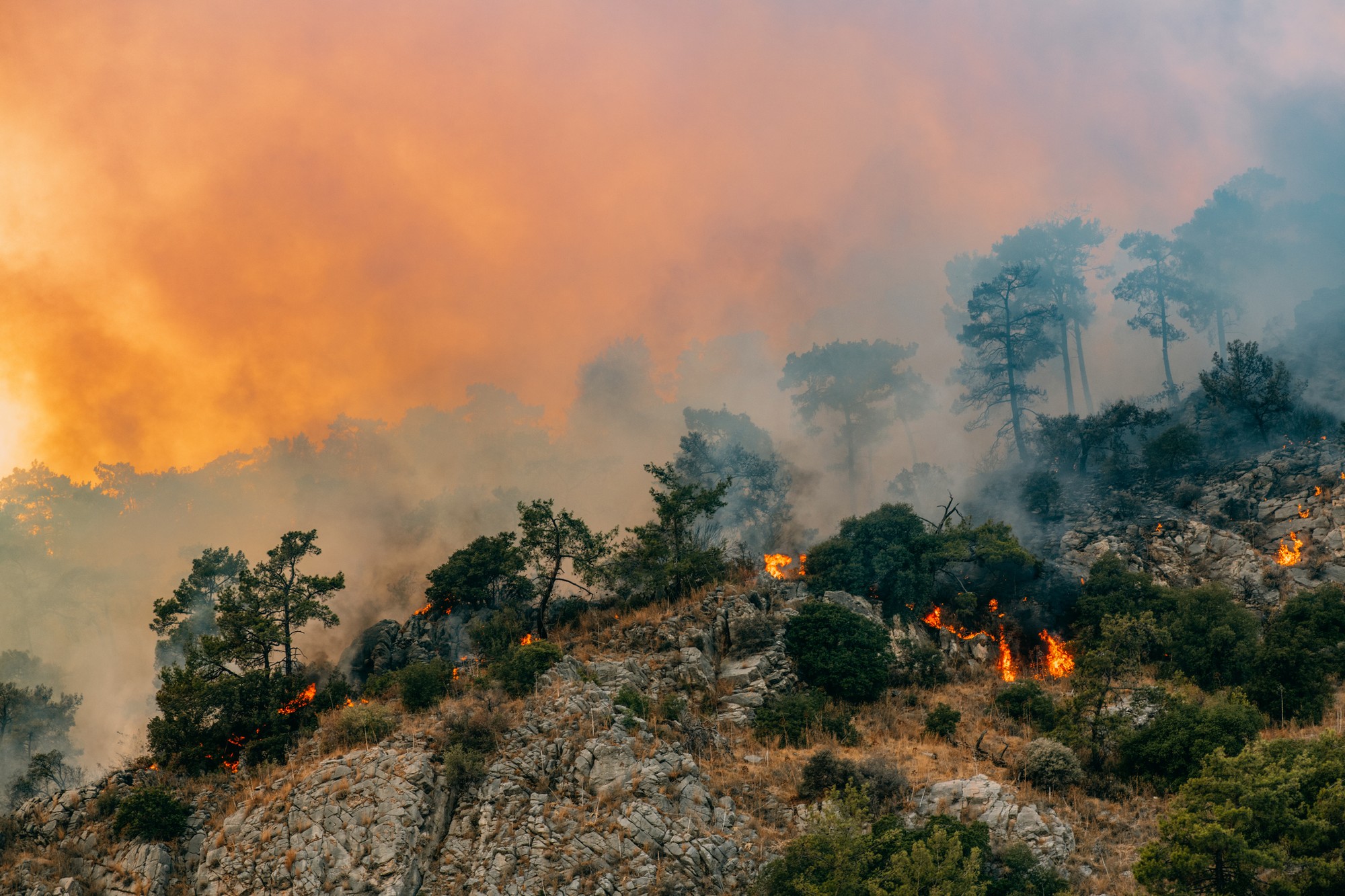 Táto situácia môže zhoršiť klimatické zmeny.