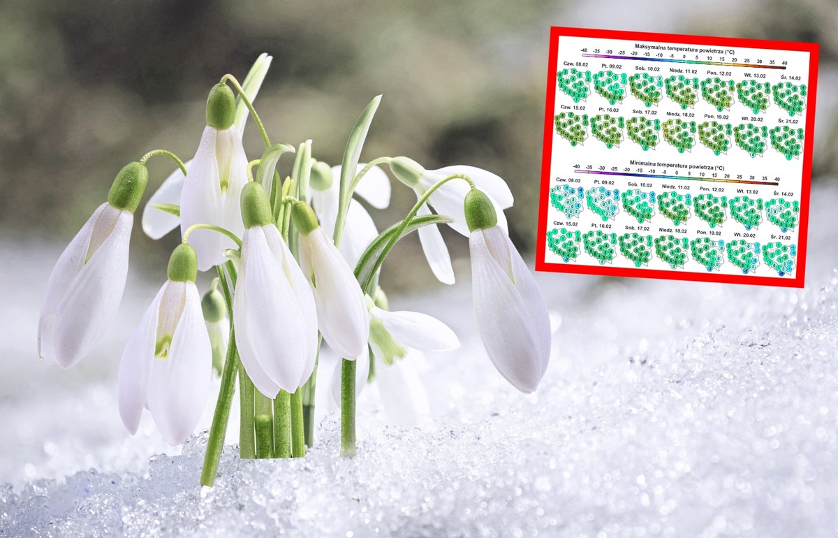 pogoda, pogoda długoterminowa, pogoda na 2 tygodnie