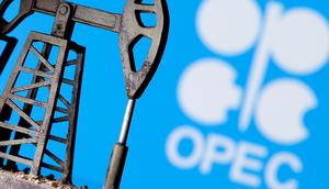 OPEC excited about partnership with Namibia