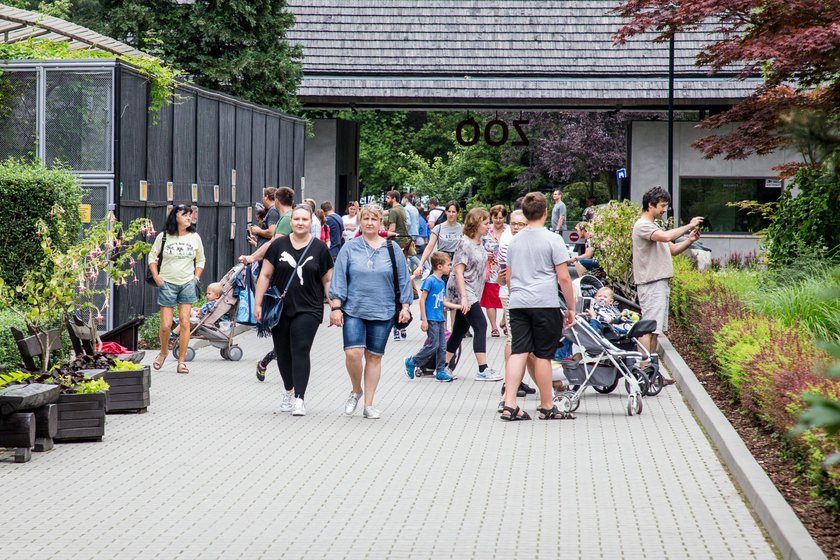 Odwiedź krakowskie zoo