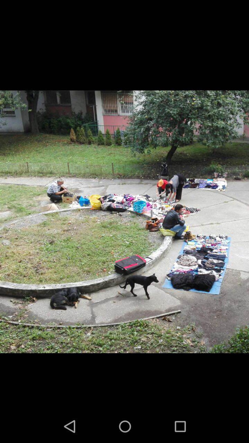 Ilegalni prodavci u Borči