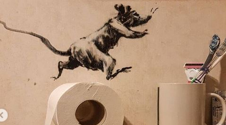 A művész még a WC-gurigákat is felhasználta az alkotásához /Fotó: Instagram